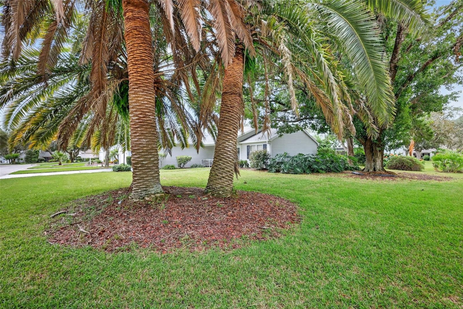 THE VILLAGES - Residential
