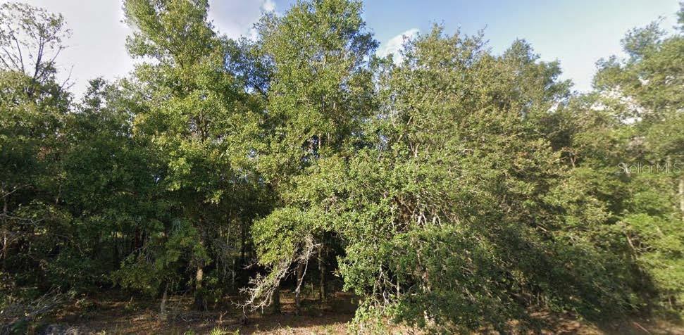 Located in the peaceful Interlachen Lakes Estates community, this residential lot offers a great opportunity to build or invest in a quiet, natural setting. Surrounded by lakes, forests, and rural charm, the property enjoys a convenient location with access to FL-20, local schools, and shopping within a short drive. The seller has additional parcels in both Putnam and Washington Counties and is open to discounted pricing for multiple lot purchases. All information is deemed reliable but should be independently verified.