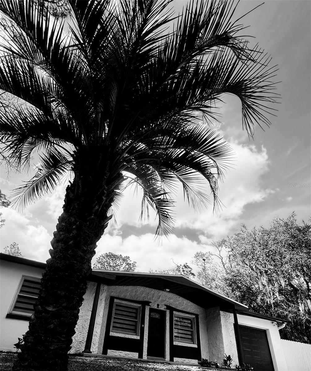 CITRUS SPGS UNIT 20 - Residential