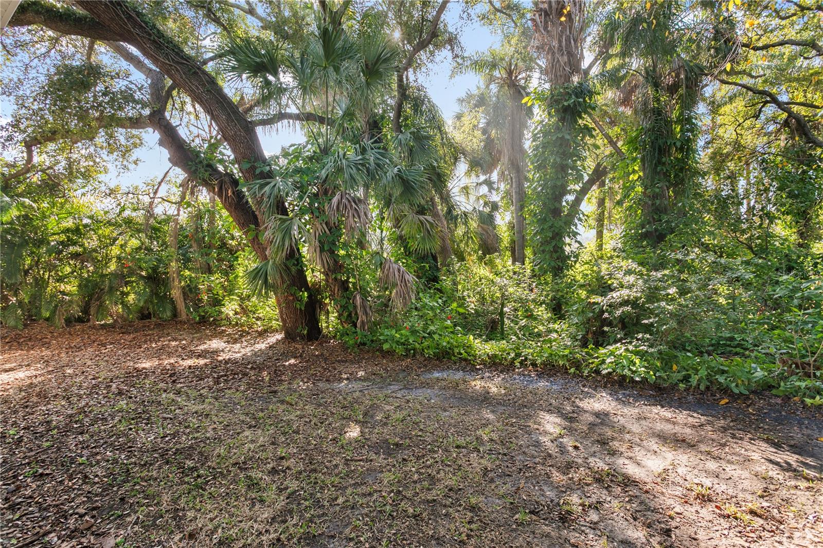 PALMA CEIA PARK - Residential