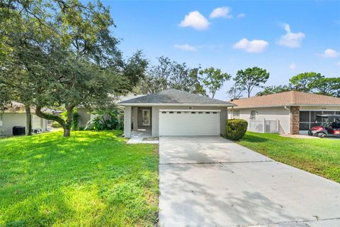 Photo of 7134 Pond View Court, Spring Hill, FL 34606 (MLS # TB8428996)
