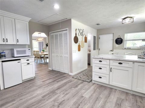 Tiny photo for 24595 NE Highway 315, Fort Mccoy, FL 32134 (MLS # OM722630)