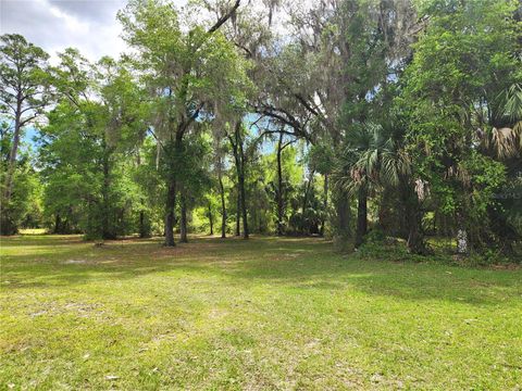 Tiny photo for 24595 NE Highway 315, Fort Mccoy, FL 32134 (MLS # OM722630)