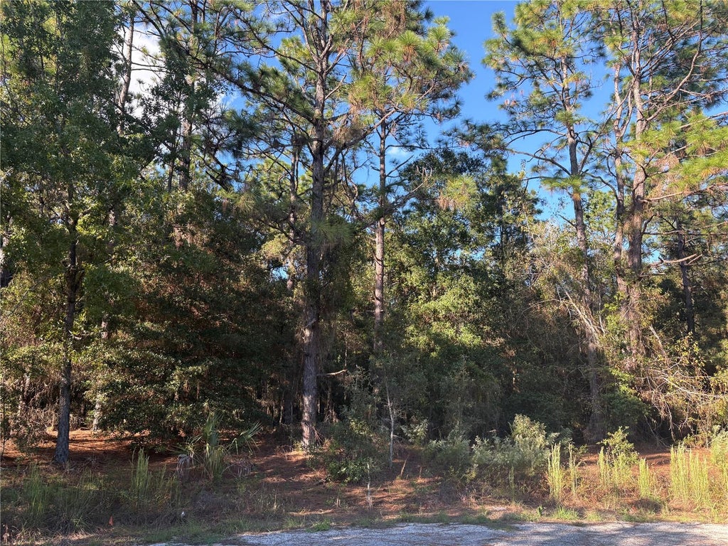 Photo of 1742 W Mesa Verde Drive, Beverly Hills, FL 34465 (MLS # OM734186)