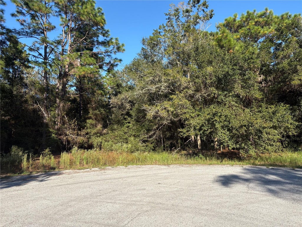 Photo of 1742 W Mesa Verde Drive, Beverly Hills, FL 34465 (MLS # OM734186)