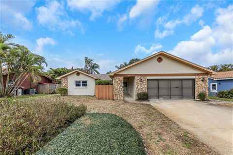 A home in PALM HARBOR