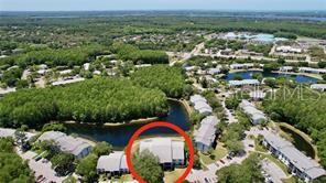 PINE RIDGE AT LAKE TARPON VILLAGE - Residential Lease