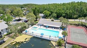 PINE RIDGE AT LAKE TARPON VILLAGE - Residential Lease