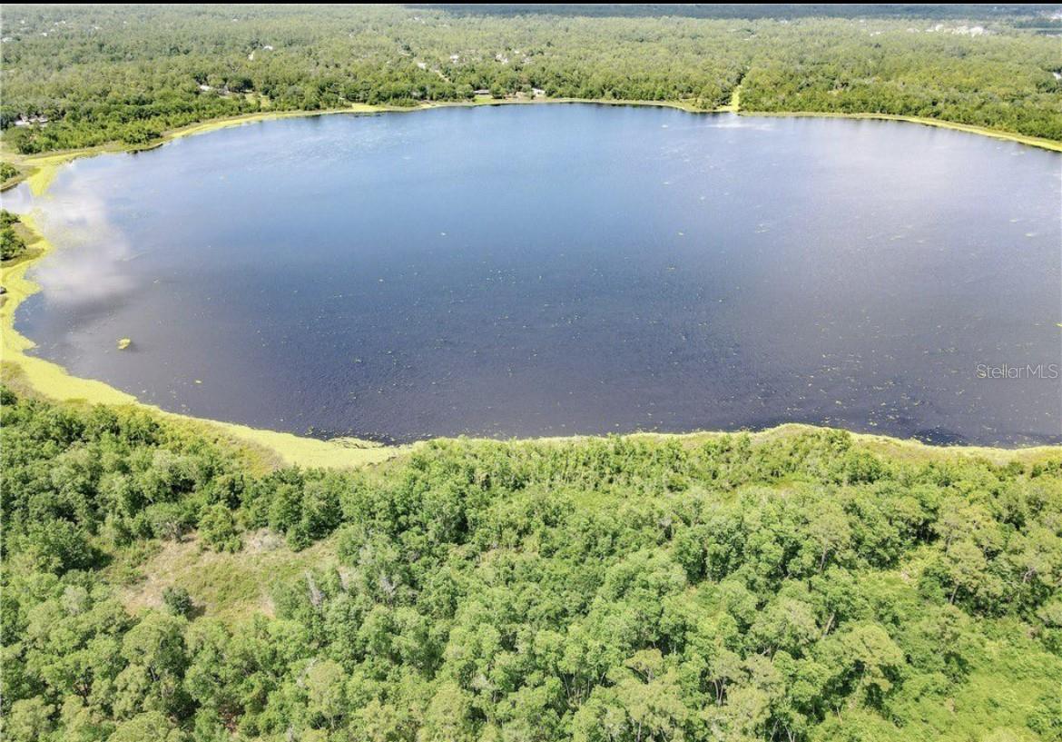 ORANGE BLOSSOM ESTATE - Land