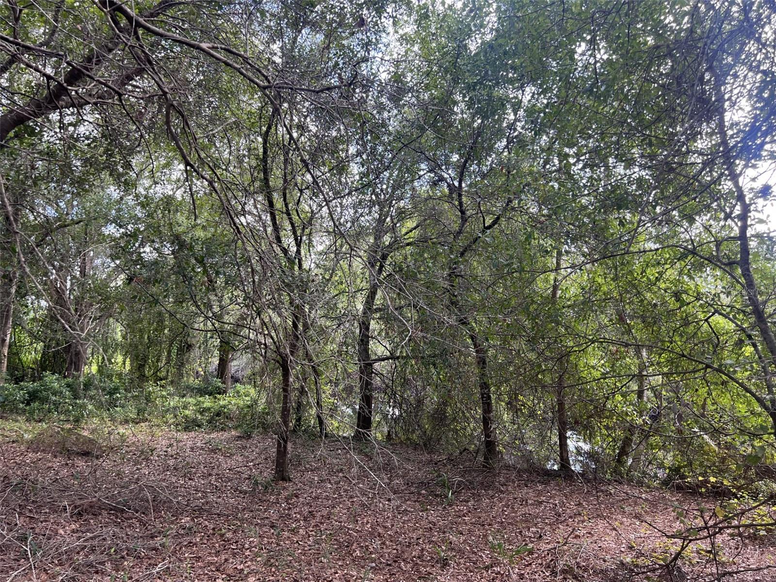 ORANGE BLOSSOM ESTATE - Land