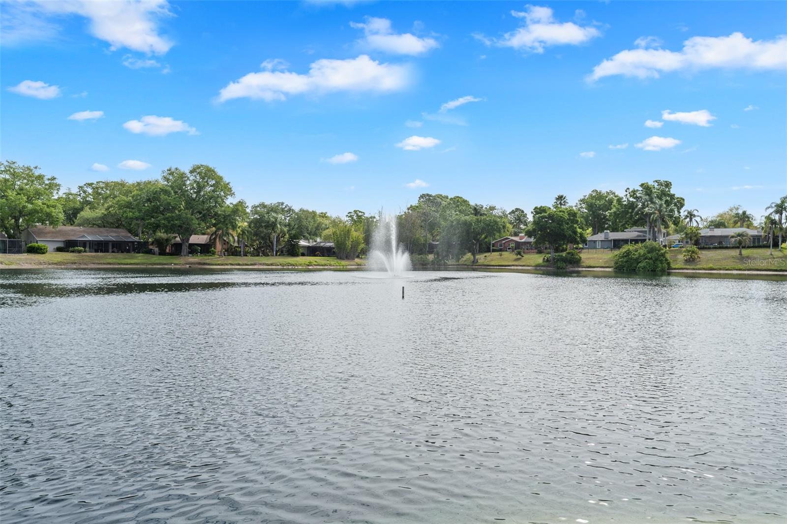 LAKE VALENCIA - - Residential