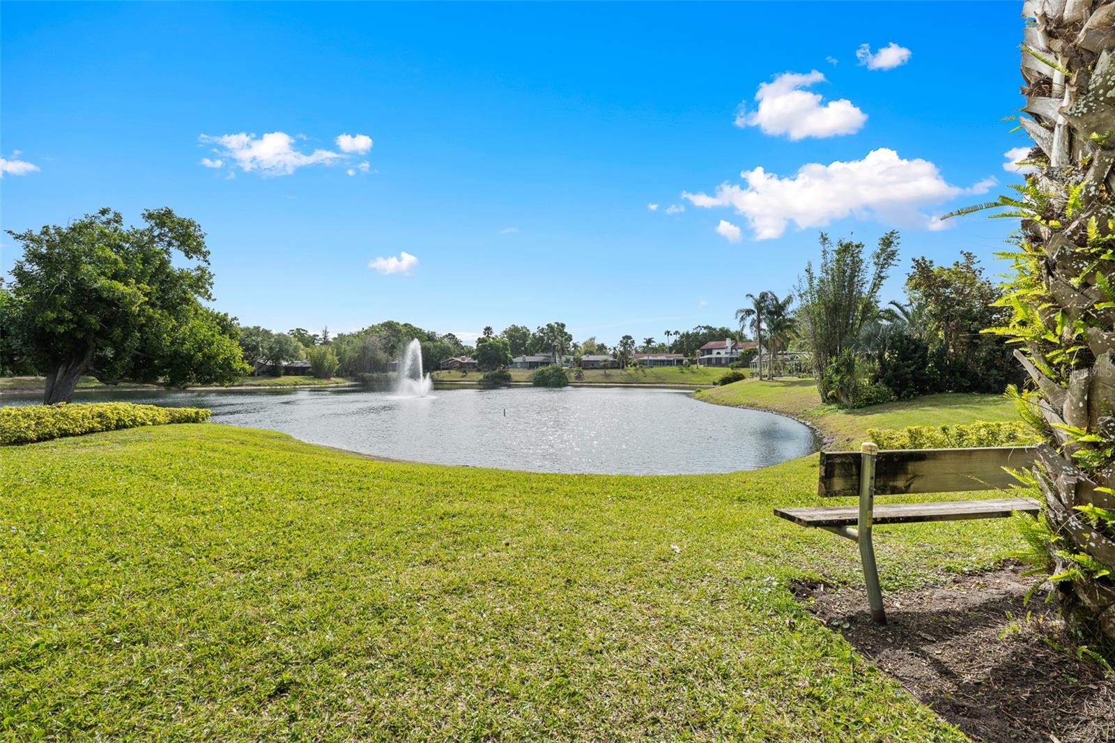 LAKE VALENCIA - - Residential