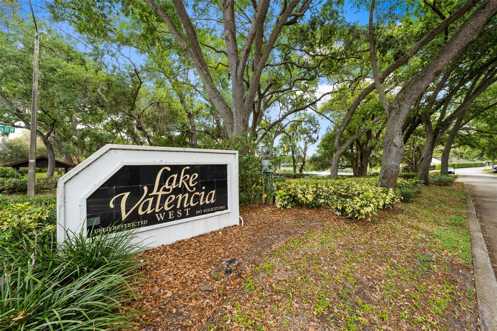 LAKE VALENCIA - - Residential