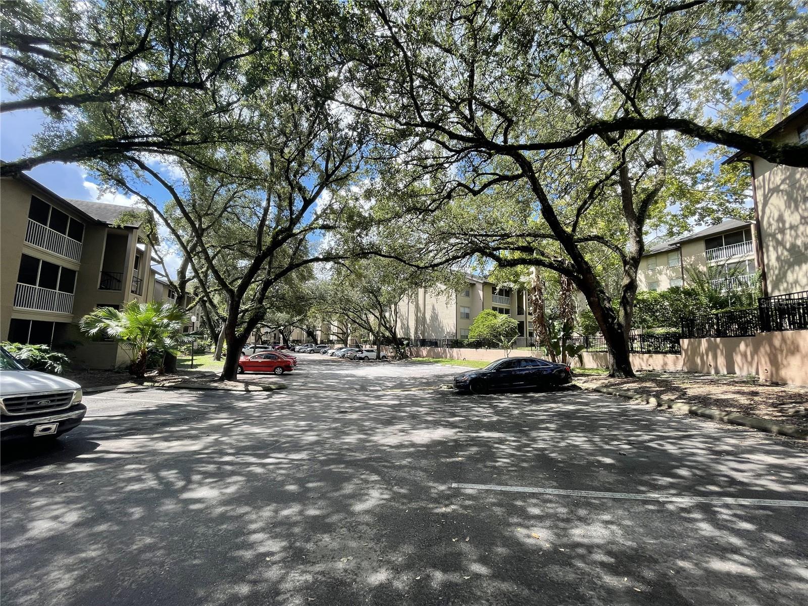629 DORY LANE 207