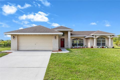 Photo of 1005 Whispring Creek Way, Osteen, FL 32764 (MLS # O6419863)