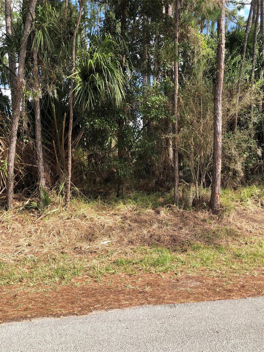 PROPERTY IS LOCATED WEST OF MISSION ROAD, BEHIND PUBLIX SHOPPING CENTER. IT HAS GREAT POTENTIAL TO BE DEVELOPED FOR SINGLE FAMILY UNITS. CONVENIENTLY LOCATED CLOSE TO SHOPPING CENTER AND DOWNTOWN NEW SMYRNA'S CANAL STREET. CENTRALLY LOCATED.; Cleared: No