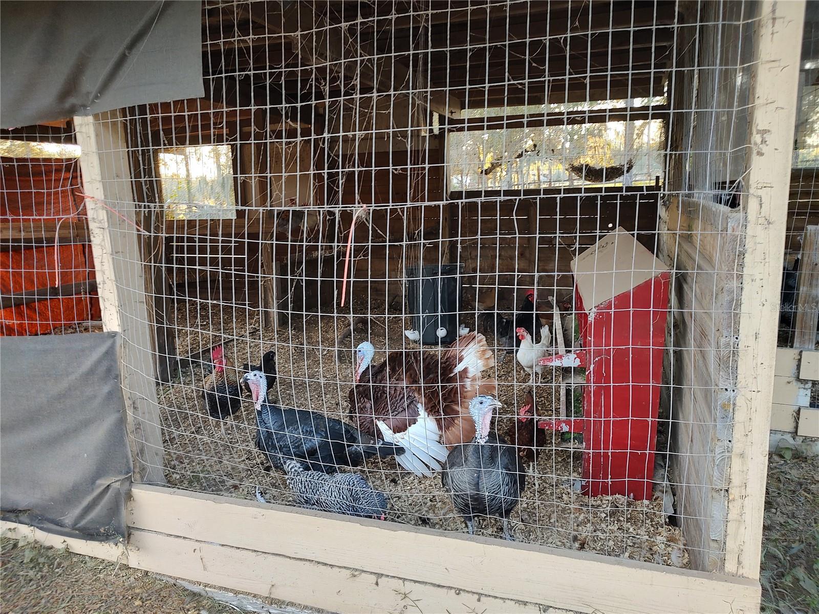 ACREAGE & UNREC - Residential