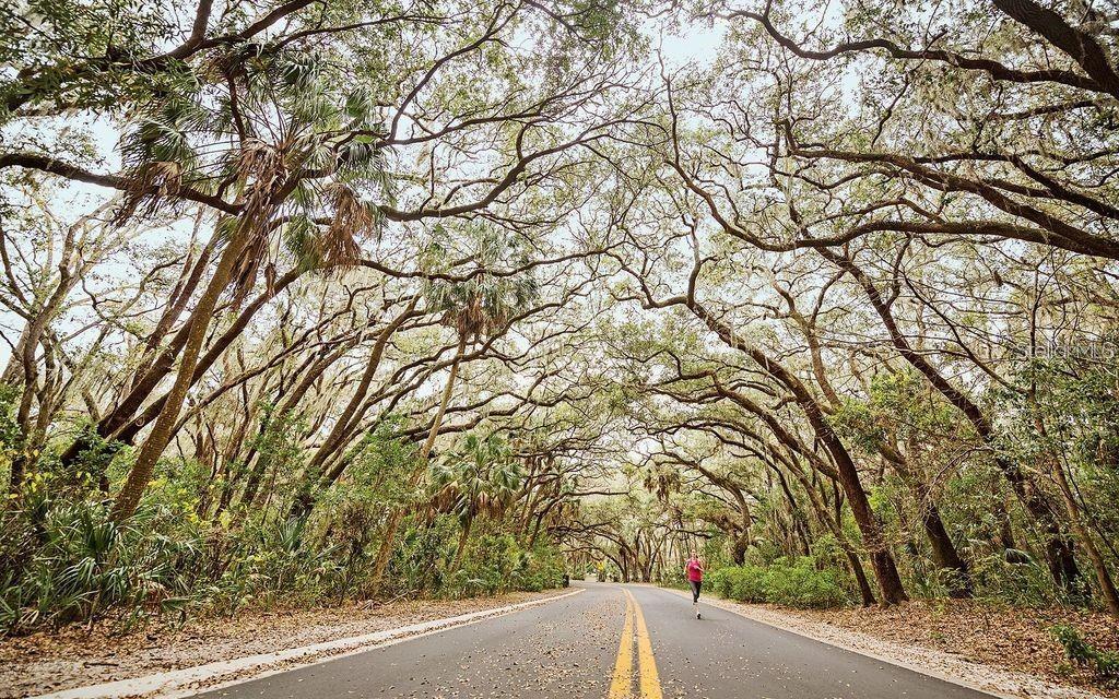BAY TOWNE - Residential