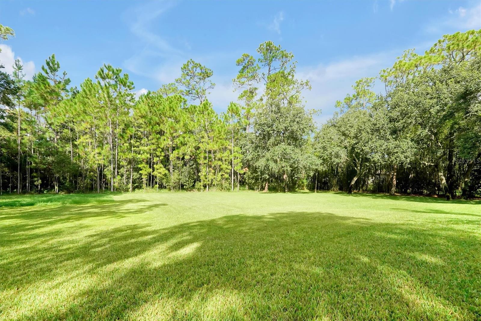 LIVE OAK ESTATES - Residential