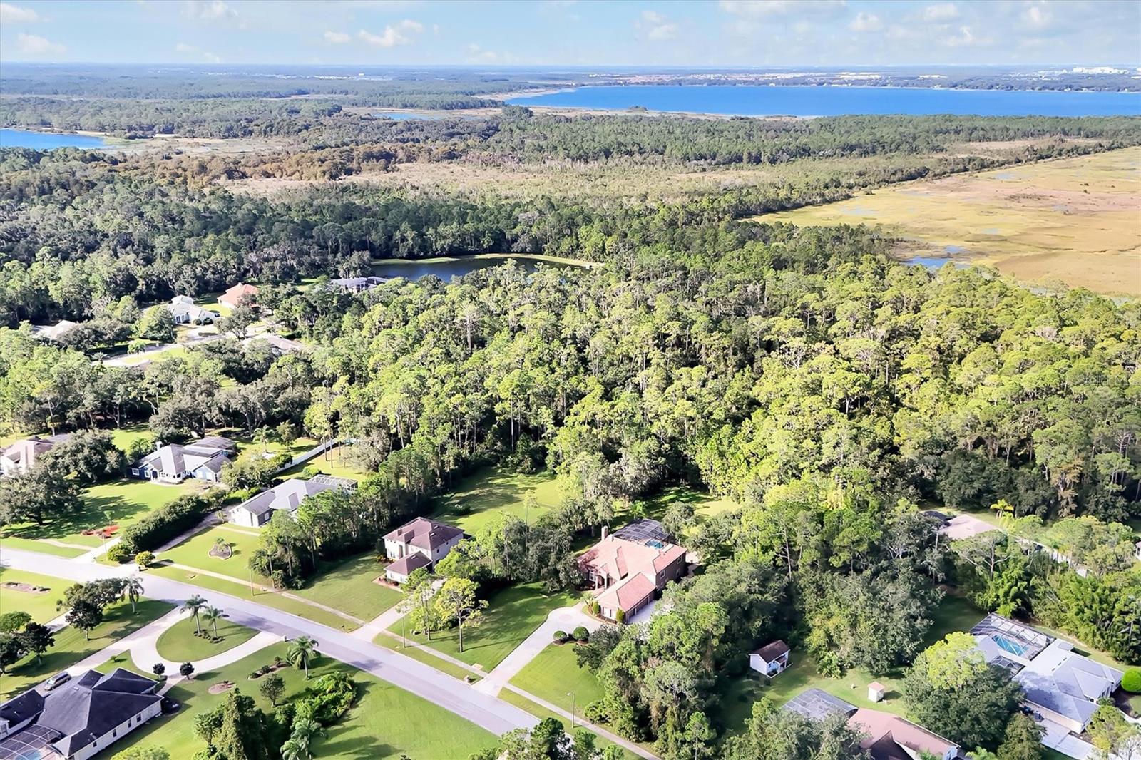 LIVE OAK ESTATES - Residential