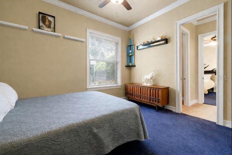 LIVE OAK ESTATES - Residential