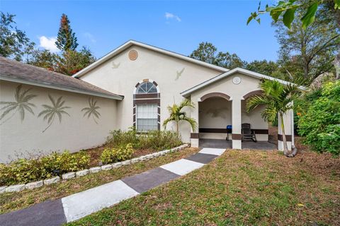 A home in PALM HARBOR