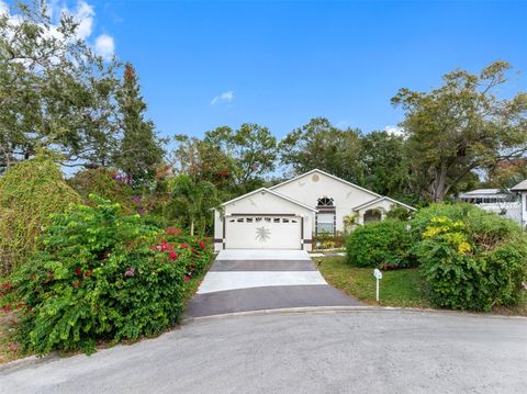 A home in PALM HARBOR