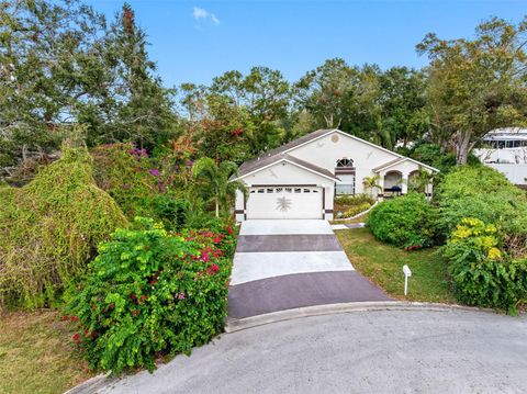 A home in PALM HARBOR