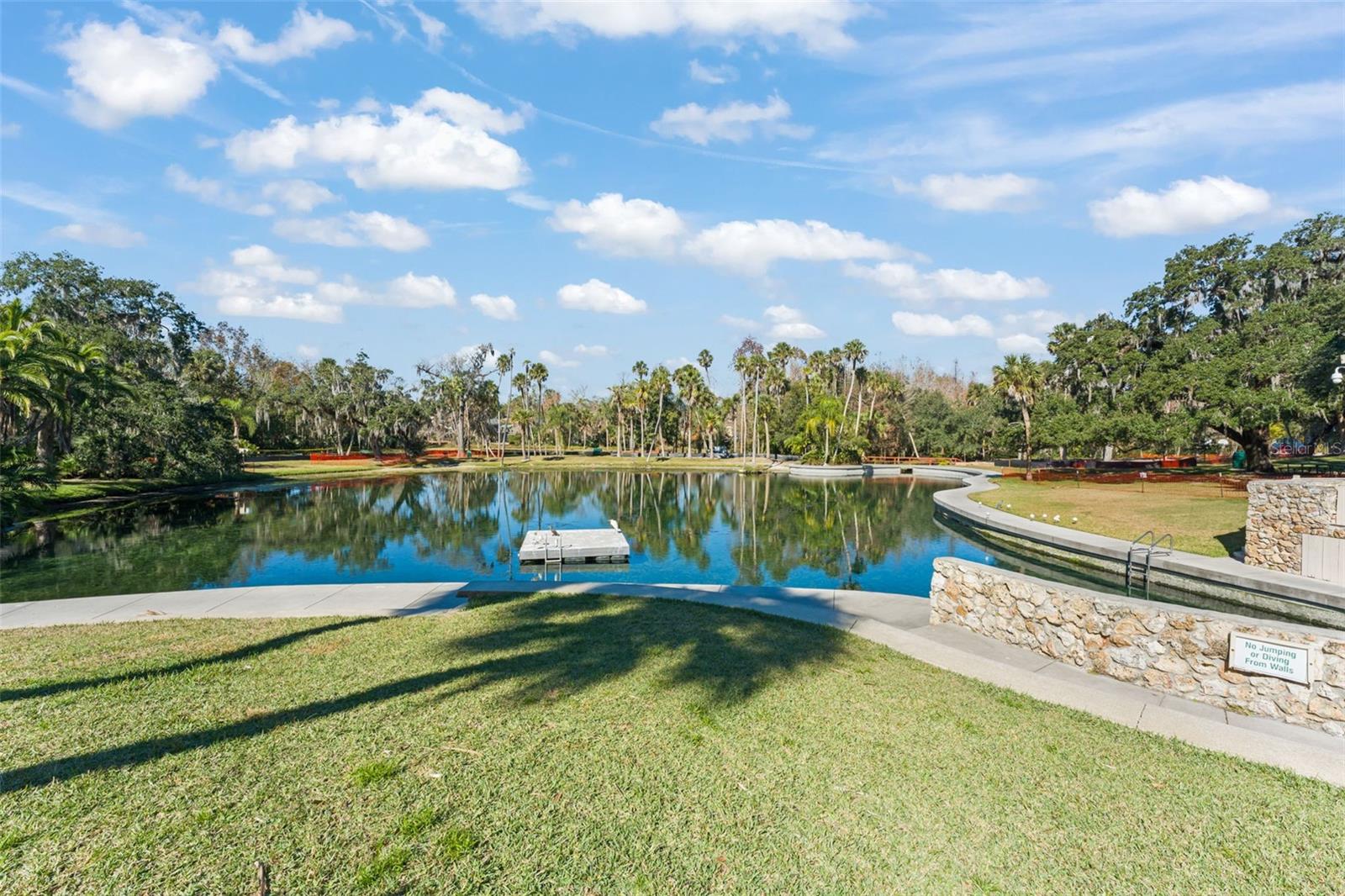 THE SPRINGS SPREADING OAK VILLAGE - Residential