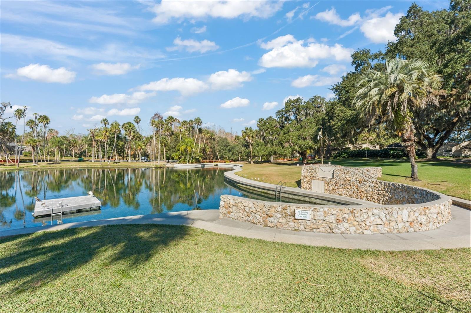 THE SPRINGS SPREADING OAK VILLAGE - Residential