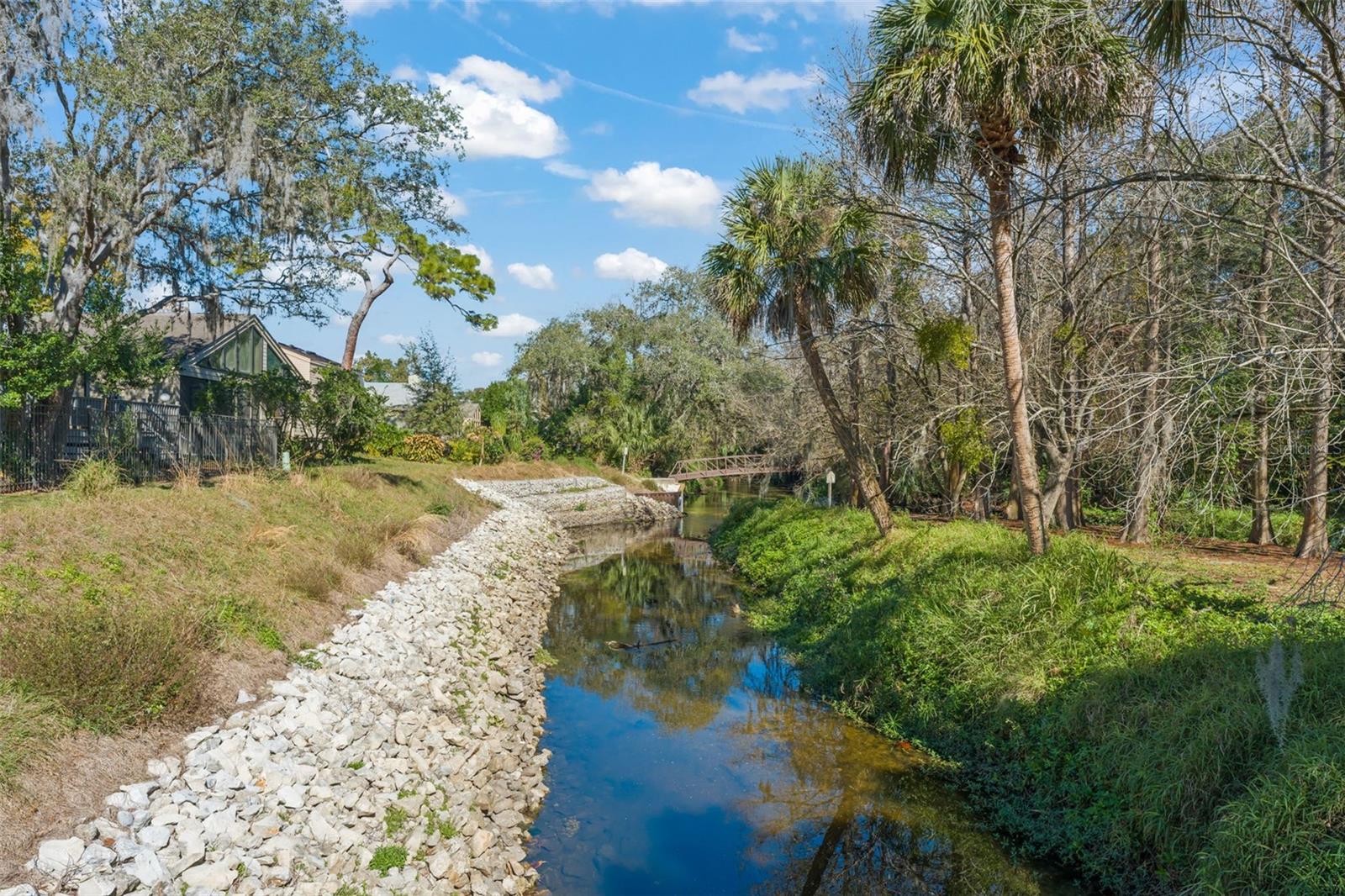 THE SPRINGS SPREADING OAK VILLAGE - Residential