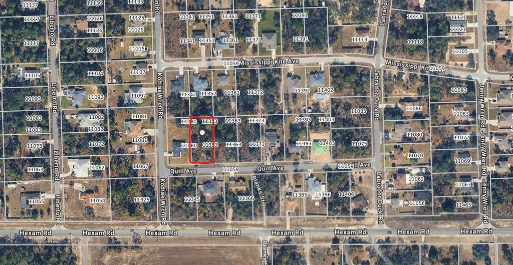 Photo of 11353 Quill Avenue, Brooksville, FL 34614 (MLS # W7884009)