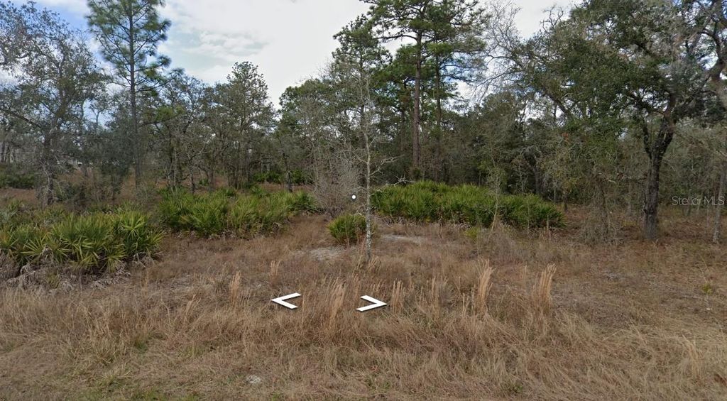 Photo of 11353 Quill Avenue, Brooksville, FL 34614 (MLS # W7884009)