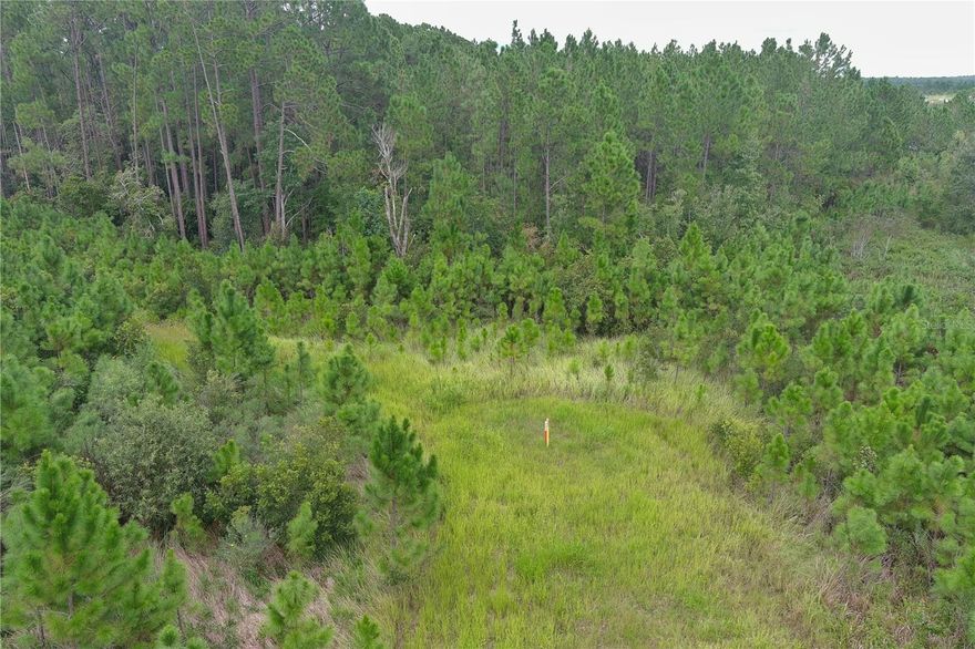 Great location for this rural homesite. Quick commute to Hwy 27 near Hwy 192 or Lakeland/Groveland the other direction. Just ONE MILE from Hwy 33 South on the North side of Hwy 474. Gas pipeline is running through a portion / survey attached for calculations for homesite, barns, etc. (Sign on property.)