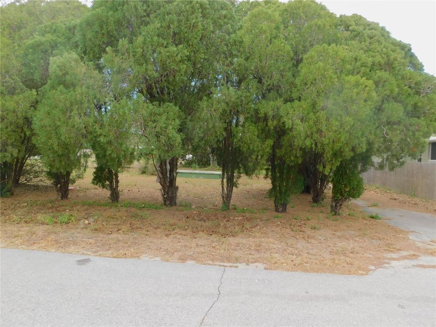 Perfect property if you are looking to build a home, Mobile or even a Tiny Home.  Cleared .40 acre.  Septic, Well and Electric are already there.  There is even a slab.  Dead End Road so no heavy traffic.  Quiet with that country feel.  NO HOA and NO CDD.  You can park your Boat, RV or Toys with plenty of room.  Easy access to the Local Beaches, Shopping, Hospitals, Schools and much more.  This is one you need to drive by to appreciate the quiet country feel of the area.