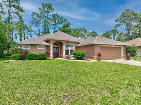 A home in PALM COAST