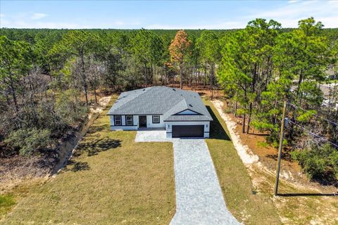 Tiny photo for 8968 N Citrus Springs Boulevard, Citrus Springs, FL 34433 (MLS # O6387119)