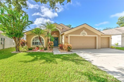 Photo of 2505 Allwood Avenue, Valrico, FL 33596 (MLS # TB8431903)