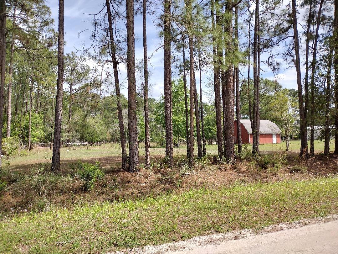 DAYTONA NORTH SUB - Residential