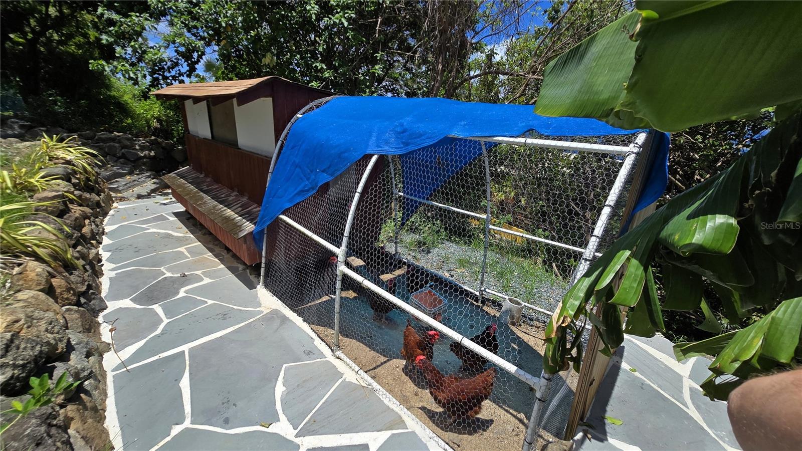 LA QUINTA - Residential