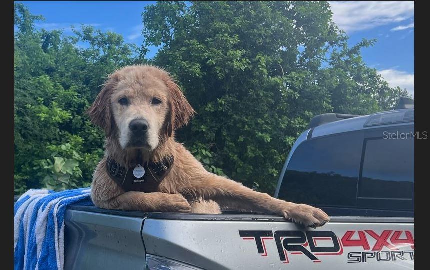 LA QUINTA - Residential