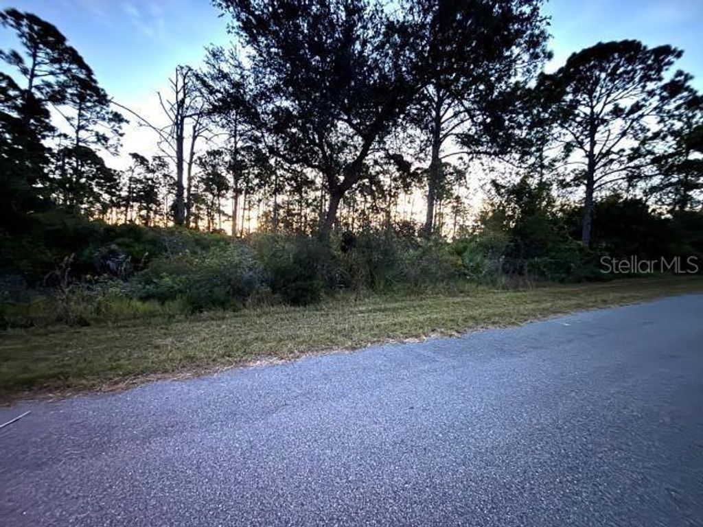 Photo of 116 Hawke Street, Port Charlotte, FL 33953 (MLS # TB8447748)