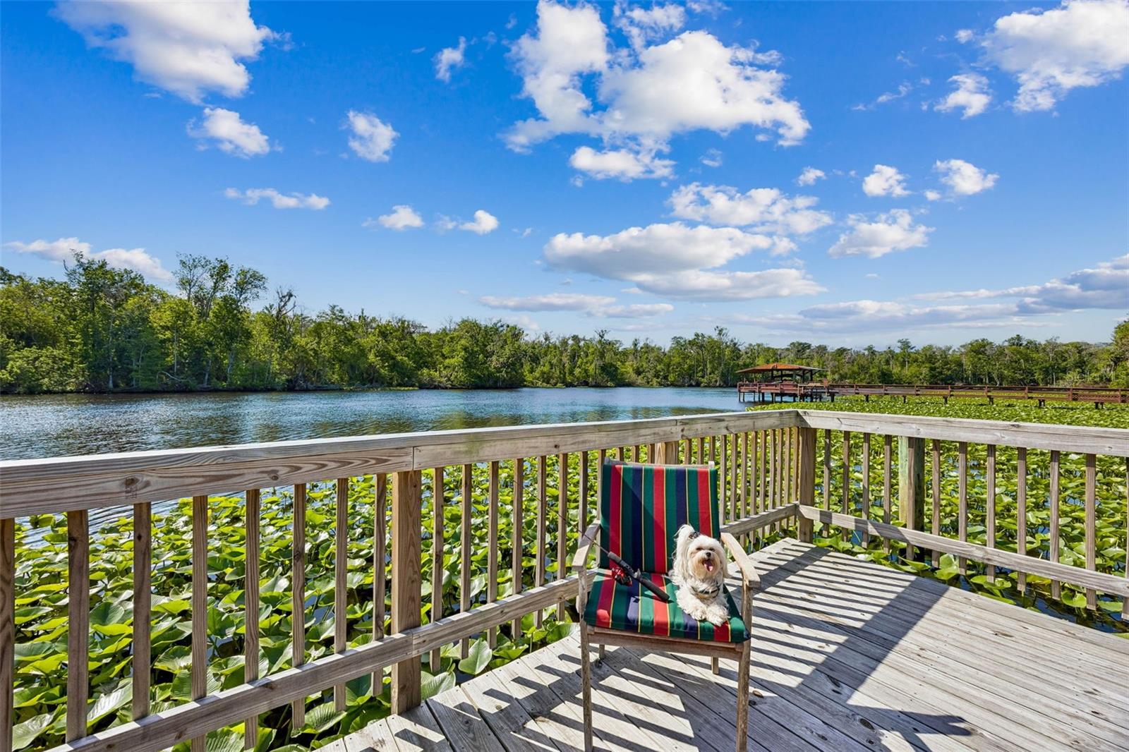 ST JOHNS RIVERSIDE ESTATES - Residential