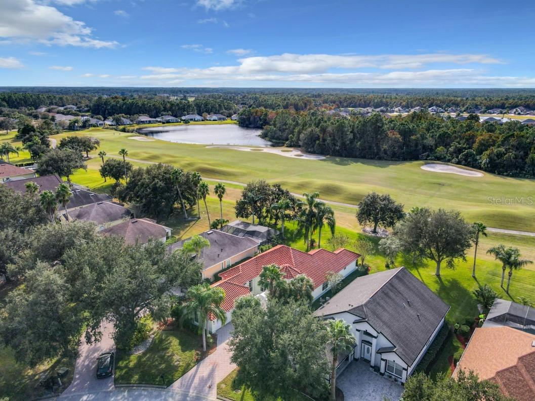 LIONSPAW TR E - Residential