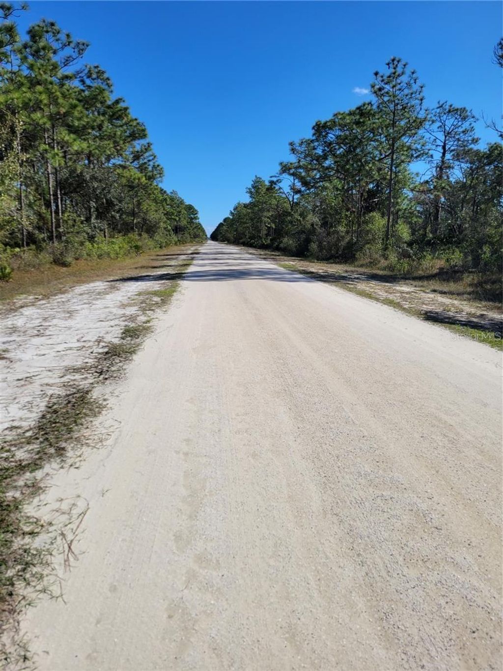 Photo of 618 Orchid Drive, Indian Lake Estates, FL 33855 (MLS # OM716681)