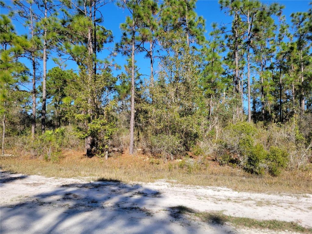Photo of 618 Orchid Drive, Indian Lake Estates, FL 33855 (MLS # OM716681)