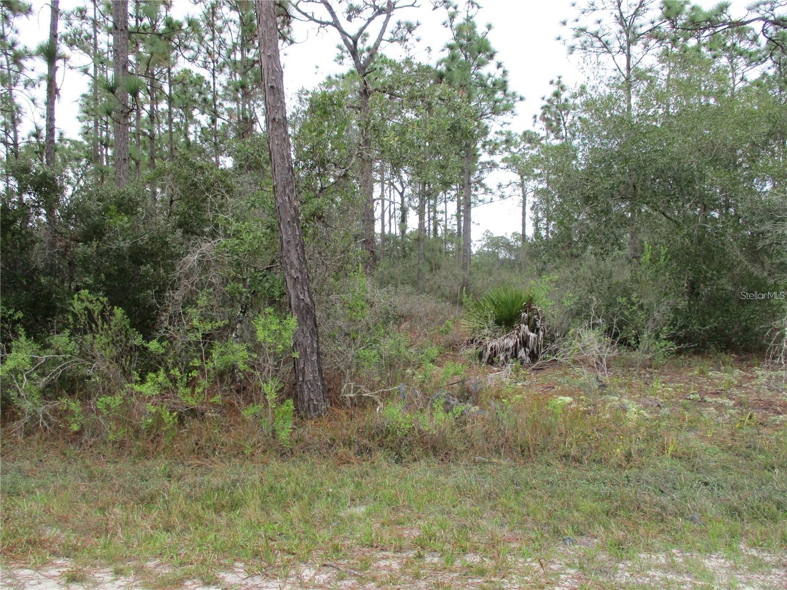 INDIAN LAKE ESTATES - Land