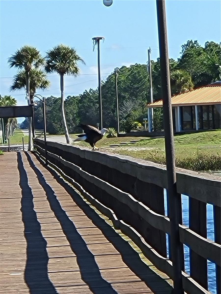 INDIAN LAKE ESTATES - Land