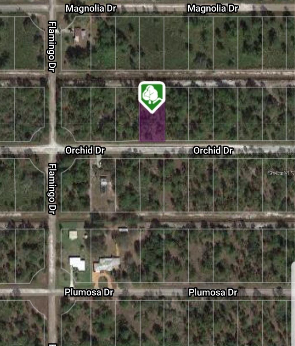 INDIAN LAKE ESTATES - Land