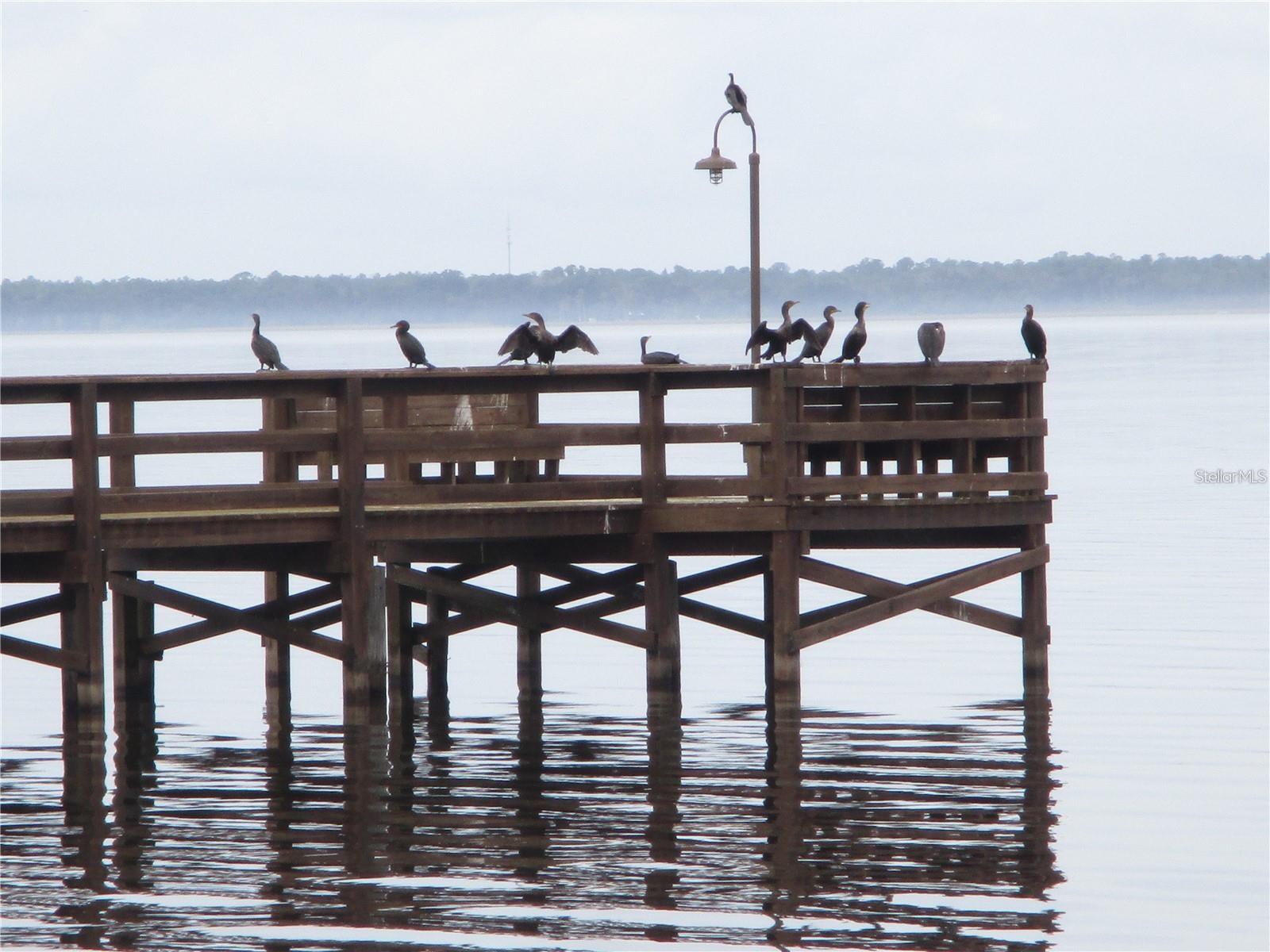 INDIAN LAKE ESTATES - Land